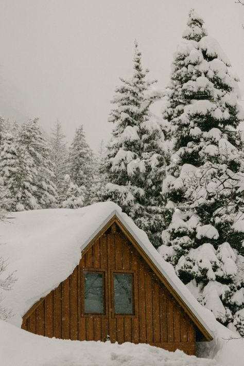 Woodsy Christmas Aesthetic, Winter Country Aesthetic, Snowy Winter Aesthetic, Winter Cabin Aesthetic, Sundance Utah, Mindset Books, Winter Arc, Winter Mood, Adventure Aesthetic