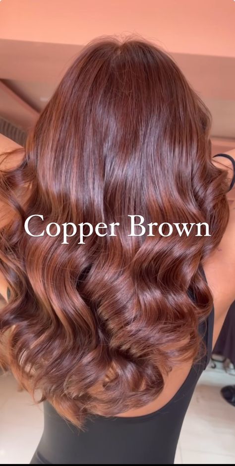 Burgandy Hair On Brown Girl, Coral Beige Hair, Hair Color For Students, Dark Res Hair, Soft Auburn Hair Color Loreal Hicolor, Warm Toned Light Brown Hair, Haircut 2025 Trends Women Long, Hairstyle Night Out, Coper Hairstyles Color