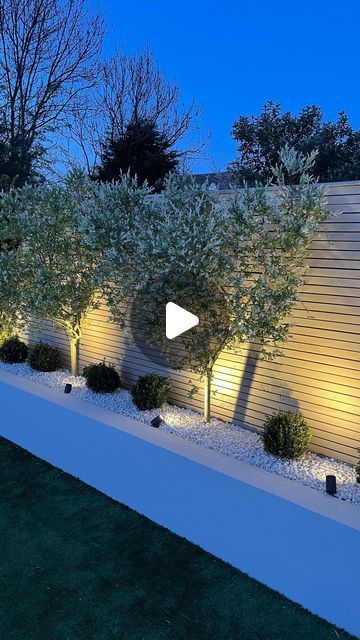 Trees In Borders, Garden Borders With Stones, Stone Garden Fence, Uk Garden Design, Salix Flamingo Tree Border, Easy Maintenance Garden, Garden Screens Ideas, Garden White Stones, Lights On Fence Outdoor