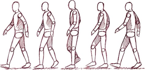 Moving onto the four legged walk cycles will be a lot more difficult. Description from crickymck.wordpress.com. I searched for this on bing.com/images Walking Reference, Drawing Walking, Movement Drawing, Walking Animation, Gesture Drawing Poses, Walking Poses, Walk Cycle, Person Drawing, Sketch Poses