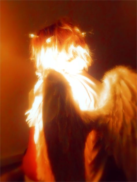 wings Orange Wings Aesthetic, Avenging Angel Aesthetic, Fire Bird Aesthetic, Fire Core Aesthetic, Phoenix Core Aesthetic, Fire Wings Aesthetic, Phoenix Aesthetic Bird, Grian Aesthetic, Phoenix Moodboard