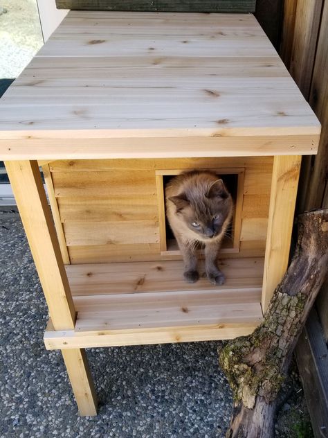 Outdoorcathouse Diy, Feral Cat House Plans, Easy Diy Outdoor Cat House, Ferrel Cat Shelter Diy, Barn Cat Shelter, Diy Outdoor Cat Shelter, Stray Cat House, Outdoor Cat Shelter Diy, Outdoor Cat House Plans