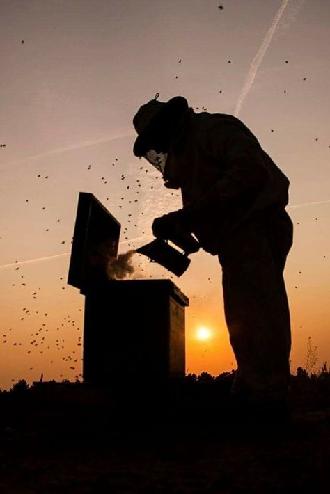 Beekeeper Art, Honey Bees Keeping, Honey Store, Honey Art, Honey Photography, Bee Photo, Bee Keeper, Bee Art, Foto Art