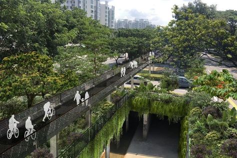 Green Walkway, Singapore Landscape, Henderson Waves, Green Bridge, Green Cities, Green Corridor, Atrium Design, Singapore Botanic Gardens, Green Infrastructure