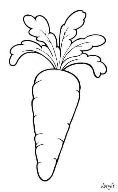 Carrot Drawing, Vegetable Coloring Pages, Fruit Coloring Pages, Easter Coloring Pages, Easy Drawings For Kids, Easter Art, Animal Coloring, Simple Cartoon, Hand Embroidery Art