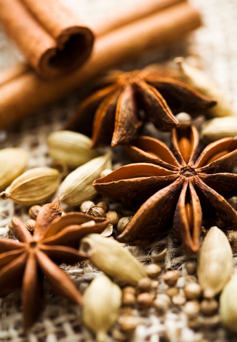 Brun Aesthetic, Anise Star, Spices Photography, Coloured Photos, Spice It Up, Fall Spices, Colour Texture, Star Anise, Spices And Herbs