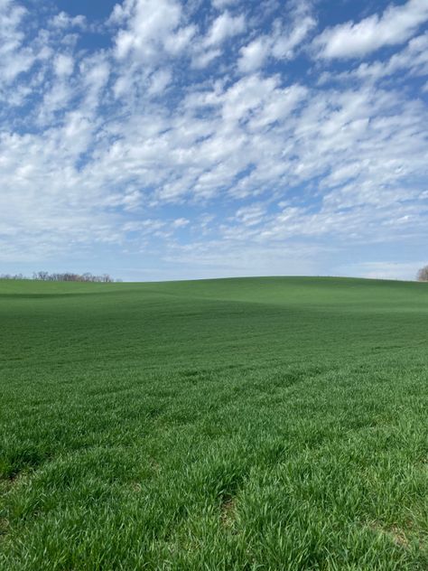 Grass Field Liminal Space, Green Fields Photography, Open Grass Field, Plain Field Aesthetic, Field Background Nature, Big Field Aesthetic, Farm Fields Landscapes, Grassy Field Aesthetic, Green Field Aesthetic