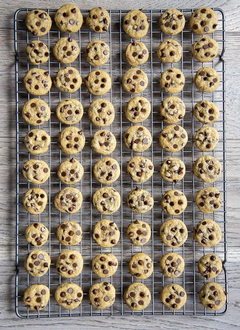 Mini Choc Chip Cookies, Mini Cookies Packaging Ideas, Tiny Cookies Bite Size, Small Cookie Recipe, Mini Cookies Recipe Bite Size, Mini Cookie Recipe, Tiny Cookies, Small Cookies, Resepi Biskut