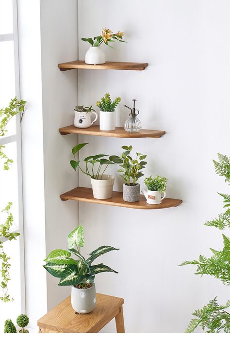 #cornerwallshelf #hangingwallshelf #wallshelfforflower Pallet Deck Diy, Corner Shelf Ideas, Plant Decor Indoor, House Plants Decor, Corner Shelf, Room With Plants, House Plants Indoor, Plant Shelves, Shelf Design