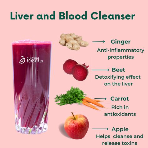 This super easy to make liver and blood-cleansing juice is packed with the goodness of ginger, beetroot, carrots, and apples. Your liver plays a vital role in detoxifying your body, while clean blood flow is essential for overall health. This powerhouse blend is designed to reduce inflammation, detoxify the liver, and boost antioxidants! 🥤💚 1 apple 1 beet 6 carrots 1 inch piece ginger • • • • #Cleanse #HealthyLiving #JuiceDetox #kuvingsusa #kuvings #juicingtutorials #healthyrecipes #drinkrecipe Health Juice Recipes, Healthy Juicer Recipes, Healthy Juice Drinks, Resep Smoothie, Juice Cleanse Recipes, Fruit Benefits, Juicer Recipes, Healthy Drinks Smoothies, Healthy Juice Recipes