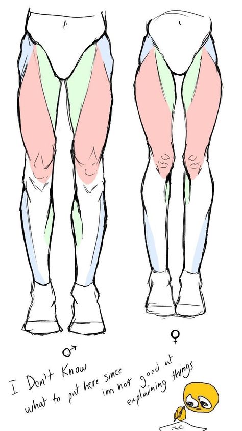 Leg Tutorial Drawing Art Reference, How To Draw Male Leg, Legs Sketch Male, Leg Practice Drawing, Lower Body Anatomy Reference, Human Legs Anatomy, Hip Dip Reference Drawing, Leg Study Drawing, Leg Drawing Anatomy