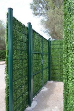 Cheap Privacy Fence, درابزين السلم, Oasis Backyard, Privacy Ideas, Green Fence, Privacy Fence Designs, Fence Designs, Garden Privacy, Backyard Privacy