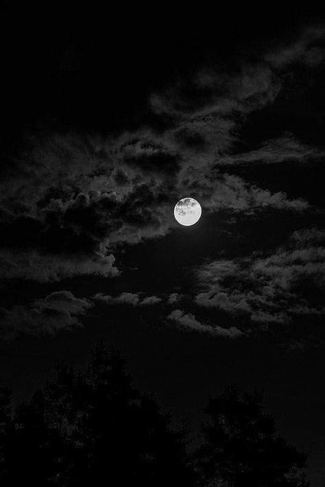 Dark Nature, Dark Nature Aesthetic, Moon Photography, Nature Aesthetic, Sky Aesthetic, Sky Photography, Pretty Wallpapers, Night Sky, The Moon