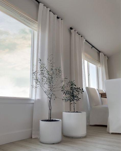 White Curtain Black Rod, Black Curtain Pole White Curtains, Black Curtain Rods With White Curtains, Curtains Lounge Room, Rod Curtains Ideas Living Rooms, White Wood Blinds With Curtains, Living Room Black Out Curtains Ideas, Cream Curtains Black Rod, White Curtains With Black Rod