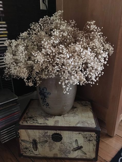 Recycled dried baby’s breath flower Dried Baby Breath Decor, Clear Vases, Dried Florals, Baby Breath, Baby S Breath, Floral Arrangement, Flower Vases, Baby Nursery, Potted Plants