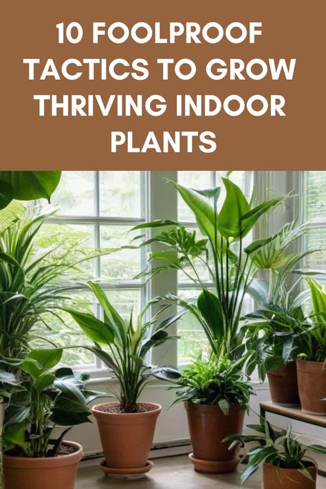 Discover the secrets of cultivating lush indoor plants with our step-by-step guide on how to grow indoor plants. Learn about the best lighting conditions, watering schedules, potting tips, and plant care techniques to create a thriving green oasis in your home. Whether you're a beginner or seasoned gardener, our comprehensive tips will help you nurture healthy and vibrant houseplants effortlessly. Elevate your space with the beauty of nature and bring life to every room by mastering the art of i Indoor Plant Care Tips, How To Grow Indoor Plants, Watering Indoor Plants, Plants Care Tips, Benefits Of Indoor Plants, Bathroom Plants Decor, Indoor Plant Care Guide, Best Plants For Bedroom, Indoor Tropical Plants