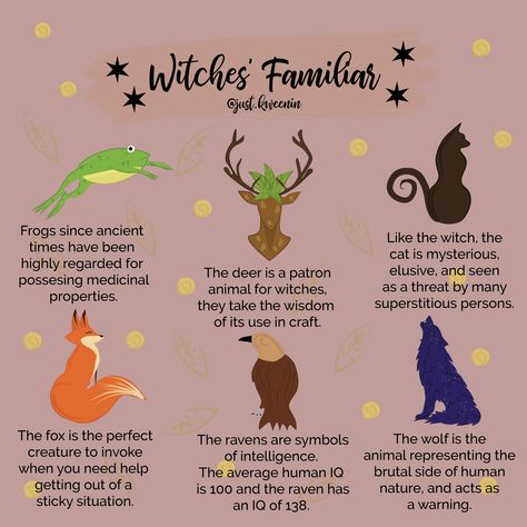 We often hear the term “familiar” nowadays, it is applied to the favourite pet of a magickal practitioner. More often, we think of a familiar as an animal that we have a deep spiritual connection with, who guides us to make important life decisions, or even aids in spell work. ⠀ Witches And Familiars, Animal Familiars Witch, Witch Familiar Aesthetic, Witch’s Familiar, How To Get A Familiar Witchcraft, Different Types Of Spirits, Familiars Witchcraft, Familiars Witch Animal, Witch Familiar Animals