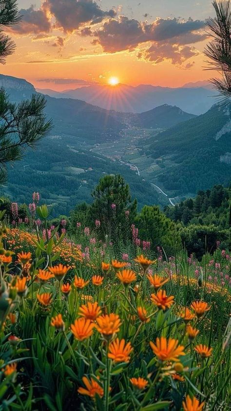 Landscape Sunset Photography, Sunset Images Nature, Flower Sunset Wallpaper, Wallpaper Mountain Nature, Mountain Sunset Aesthetic, Mountains With Sunset, Sunset With Flowers, Summer Collage Wallpaper, Flower Field Wallpaper