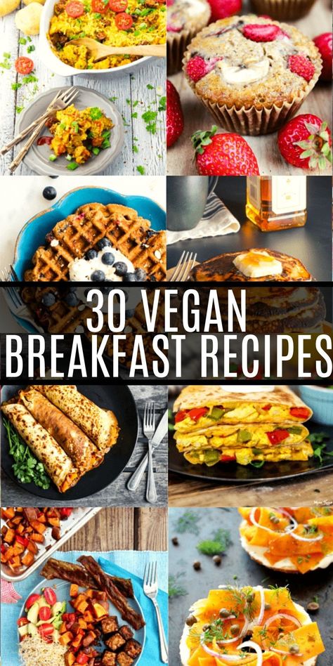 Vegan Breakfast Recipes Easy, Best Vegan Breakfast, Vegan Brunch Recipes, Plant Based Recipes Breakfast, Vegan Breakfast Easy, Vegan Breakfast Ideas, Healthy Vegan Breakfast, Vegan Breakfasts, Vegan Brunch