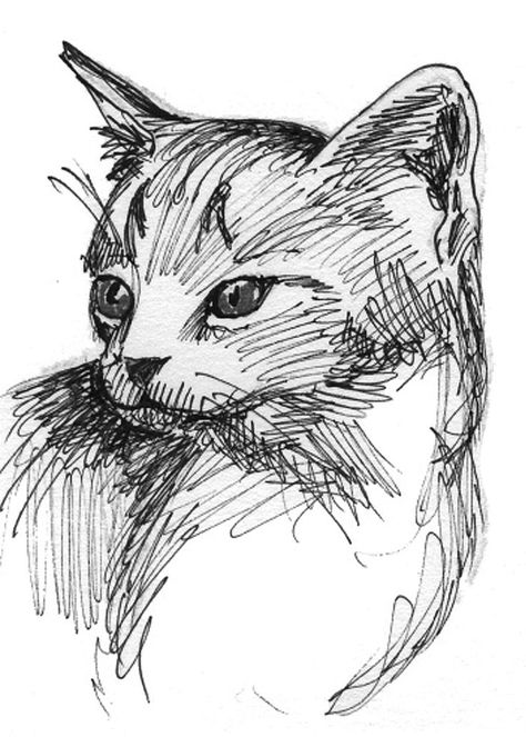 Pen Sketch Reference, Pen Painting Sketches, Ink Pen Sketching, Black Ink Art Drawing, Gel Ink Pen Drawings, Black Pen Illustration, Ink Drawing Animals, Quick Sketch Ideas Simple, Black Ink Drawing Ideas