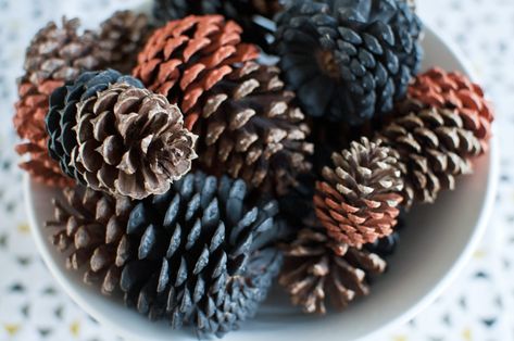 Pine Cones Dyed Pinecones, Pinecone Decor Ideas, Pinecones Decorations, How To Make Dip, Silver Christmas Decorations, Fall Craft Ideas, Cone Crafts, Fall Wedding Centerpieces, Cones Crafts