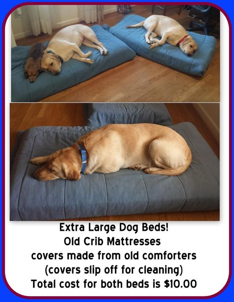 Crib Mattress Dog Bed, Lou Dog, Mattress Dog Bed, Diy Dog Bed, Dog Kennel Outdoor, Cool Dog Beds, Dog Rooms, Dog Bed Large, Diy Dog