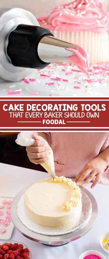 No clue what tools to get for decorating cakes? Set aside your decorating conundrum! Foodal has the ultimate review of cake decorating tools that every baker should own. Read our detailed list of all the top pieces of equipment to have on hand so you can decorate your desserts beautifully. Read more now on Foodal. Cake Decorating Basics, Cooking Knowledge, Fancy Donuts, Cake Decorating Equipment, Cakes To Make, Baking Hacks, Cake Decorating For Beginners, Business Guide, Basic Cake