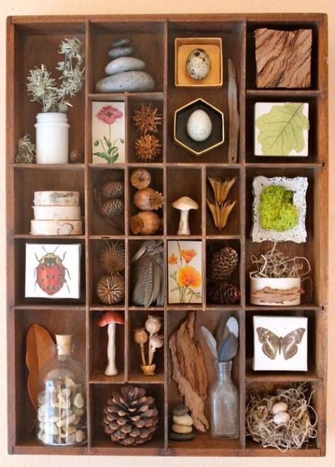 Shadow Box Kunst, Wood Art Diy, Art Coquillage, Instagram Challenge, Printers Tray, Shadow Box Art, Nature Inspired Decor, Assemblage Art, Nature Crafts