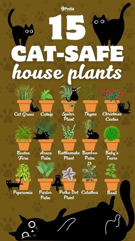 15 Cat-Safe Houseplants - Best Non-Toxic Plants for Cats #catsafeplants #catfriendlyplants #cattoxicplants #nontoxicplants #plantsforcats #houseplantsforcats #catplants #bestcatplants Plants Cats Love, Plants Non Toxic To Cats, Non Toxic House Plants Cat, Non Toxic Plants For Cats, Cat Proof Plant Display, Plants Cat Safe, Cat Friendly House Plants, Cat Friendly Garden, Safe Plants For Cats