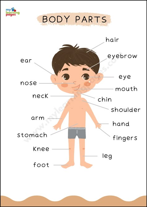 Parts of the Body Poster English Charts For Classroom Ideas, Daycare Poster Ideas, Posters For Kindergarten Classroom, Nursery Room Poster, Educational Charts Free Printable, Part Of Body For Kids, Kids Educational Posters, Body Parts For Kids Free Printable, Parts Of The Body Chart