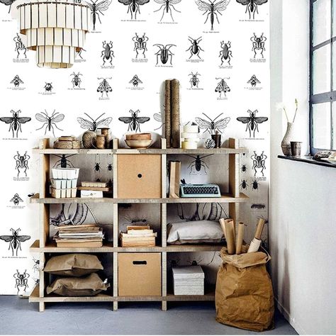 Big Boy Room, Boys Room Decor, Recycled Furniture, Toddler Room, Bedroom Themes, Room Themes, Interior Walls, Boy's Room, Of Wallpaper