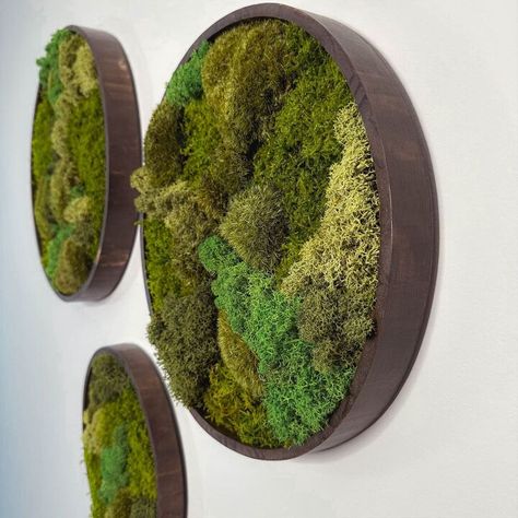 Moss Artwork, Mos Wand, Living Wall Garden, Moss Flowers, Green Wall Design, Moss Walls, Moss Decor, Moss Plant, Moss Wall Art