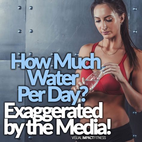 How Much Water Per Day Exaggerated by the Media! 1 Meal A Day, Fitness Model Workout, Model Workout, Glasses Of Water, Water Per Day, Online Personal Trainer, Kettlebell Workouts, Workout Plan For Women, Weights For Women