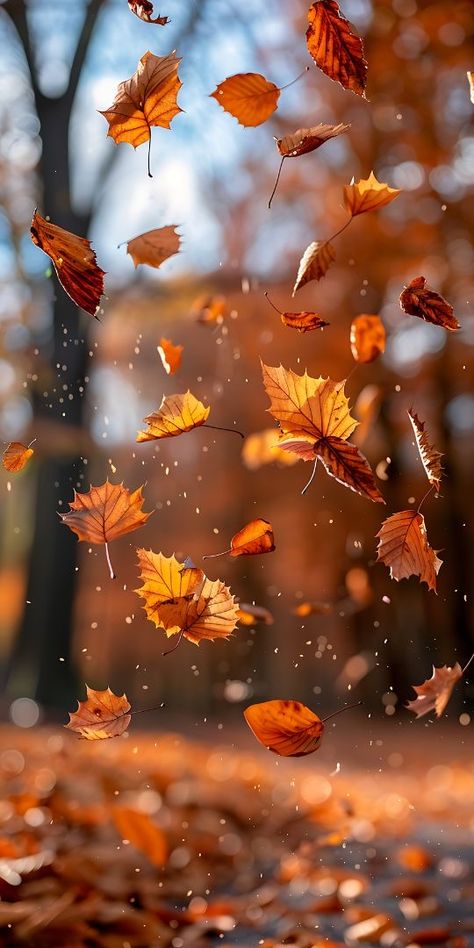 Free Fall Wallpaper, Autumn Phone Wallpaper, Autumn Leaves Wallpaper, Autumn Wallpaper, Wallpaper Fall, Cute Fall Wallpaper, Iphone Wallpaper Fall, Fall Background, Wallpaper Flower