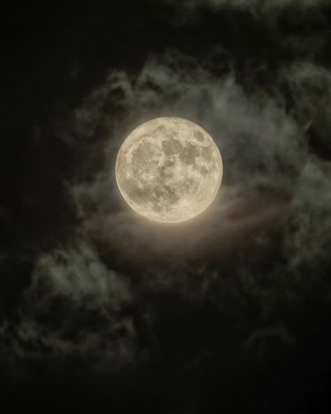 Super Moon over Budapest Full Moon Names, Snow Moon, Talking To The Moon, Big Moon, Ephesians 6, The Moon Is Beautiful, Look At The Moon, Moon Aesthetic, Moon Pictures