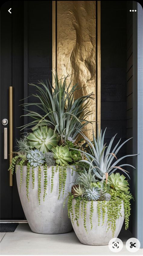 Outdoor holiday planters