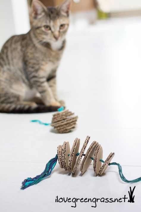 Diy Yarn Cat Toys, Diy Cats Ideas, Cats Toys Diy, Diy Cat Enrichment Toys, Diy Kitten Toys, Toys For Cats Diy, Kitten Toys Diy, Cat Ideas Diy, Cat Toys Diy Easy