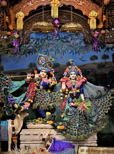 Iscon Temple Radha Krishna Hd, Radhe Krishna Wallpapers Hd Wallpaper, Radha Krishna Murti, Radha Krishna Temple, Vrindavan Photography, Bihari Ji, Vrindavan Photography Pictures, God Pic, Camera Cartoon