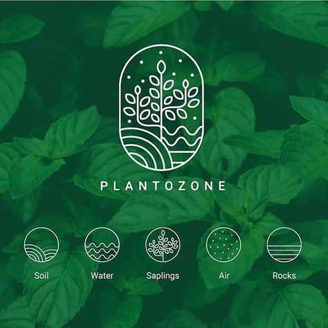 Plant Brochure, Collage Logo, Ideal Logo, Tea Branding, Editorial Logo, Desain Merek, Jar Pottery, Luxe Logo, Botanical Logo