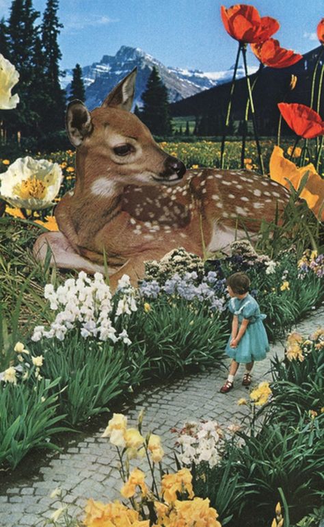 Fawn Photography, Poster Grafico, Beatles Art, Surreal Collage, Magazine Collage, Princess Core, Nature Preserve, Arte Inspo, Art Et Illustration