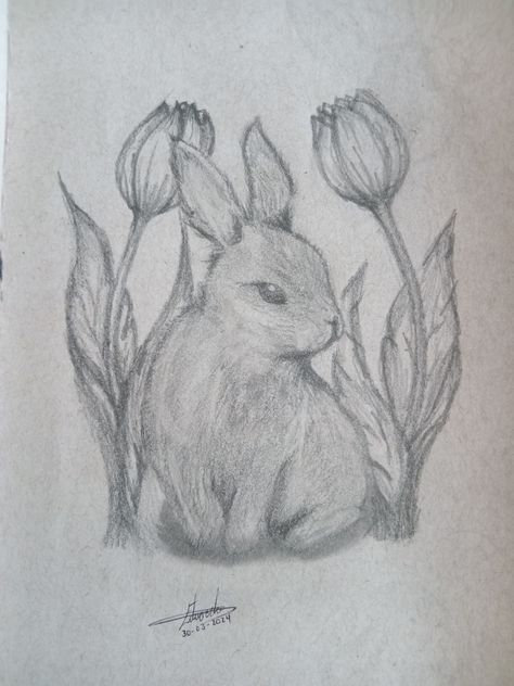 Realistic Rabbit Drawing, Bunny Sketch Cute, Realistic Bunny Drawing, How To Draw A Bunny Step By Step, Bunny Drawing Reference, Drawing Ideas Bunny, Simple Bunny Drawing, How To Draw A Bunny, How To Draw Bunny