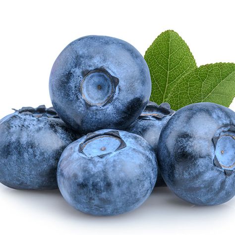 Best and Worst Fruit on the Keto Diet Fruit References, Pencil Food, Keto Essentials, Irl References, Sweet Potato Flour, Peanut Butter For Dogs, Blueberry Powder, Exhibition Ideas, Blueberry Plant