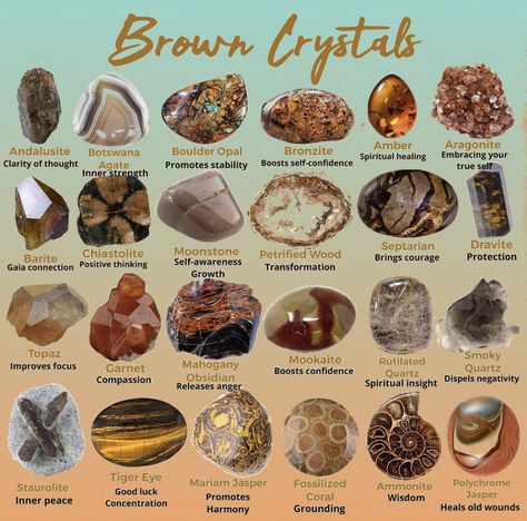 Focus Crystals, Colour Descriptions, Energy Stones Crystal Healing, Crystal Knowledge, Brown Gemstones, Crystal Shops, Crystal Identification, Raw Gemstones Rocks, Brown Crystals