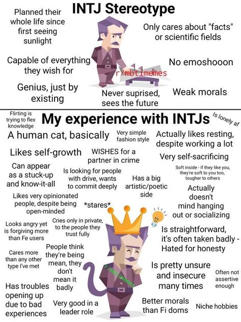 Intj Stereotype Vs Reality, Intj Personality Traits, Intj Vibes, Intj Characters, Entp And Intj, Intj Humor, Personalidad Enfp, Intj Enfp, 16 Personality Types