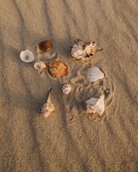 Ready to get inspired by beach vibes and Pinterest-worthy aesthetics? Our Summer Vacay Aesthetic: Beach Essentials is now available for a free download 🖤 . . . #kaboompics #freestockphoto #editorialstockimages #styledphotoshoot #fashion #fashioncollection #fashionbrand #socialmediamarketing #branddesign #femaleentrepreneur #beachaesthetic #summervibes Vacay Aesthetic, Beach Photo Inspiration, Beachy Aesthetic, Beach Vacay, Aesthetic Beach, Island Vibes, Beach Essentials, Beach Baby, Stock Photography Free