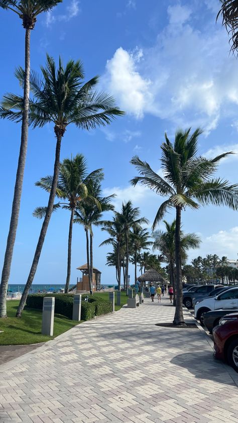 Picture of palm trees on a sunny at the beach Sea Side Florida, West Palm Beach Aesthetic, Seaside Florida Aesthetic, Zepeto Background Aesthetic Beach, La Palm Trees, Palm Beach Aesthetic, Deerfield Beach Florida, Davenport Florida, Houses By The Beach