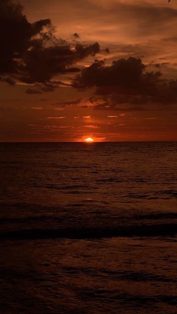 P Wallpaper, The Beach Sunset, Aesthetic Types, Beach Sunset Wallpaper, Tropical Nature, Beach Drinks, Sunrise Beach, Sunset Wallpaper, Sunset Pictures