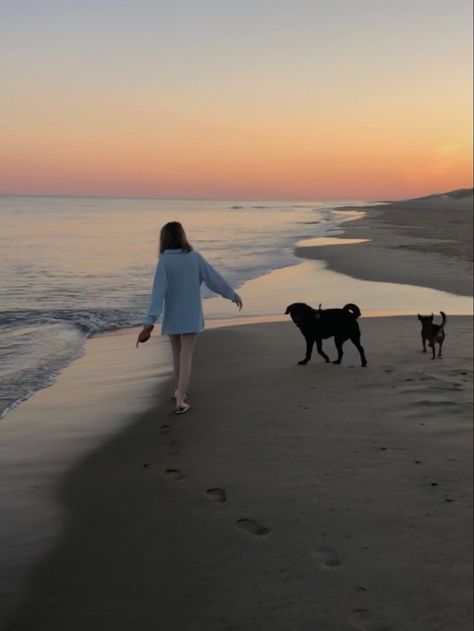 Beach Dogs Aesthetic, Dog Vacation Pictures, Dogs On Vacation, Dog On Beach Aesthetic, Dog Beach Aesthetic, Walk With Dog Aesthetic, April Manifestation, Dog Beach Pictures, Vacation With Dog