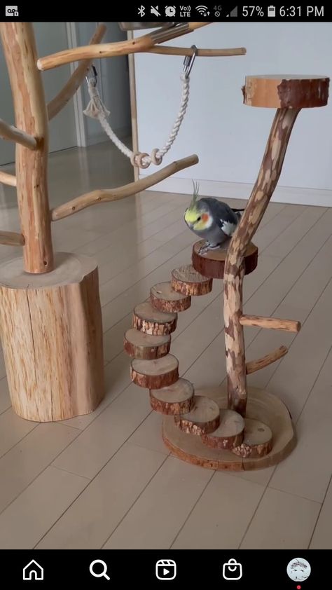 Toys For Budgies, Diy Bird Perch Stand, Bird Perch Diy, Diy Bird Cage How To Make, Bird Stands Diy Ideas, Diy Parrot Cage, Bird Room Ideas Diy, Diy Bird Toys Parakeets, Bird Play Gym