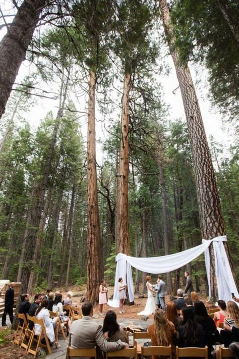 Evergreen Lodge Weddings | Get Prices for Wedding Venues in CA Lake Wedding Inspiration, Greenery Wedding Decor, Beautiful Parks, Wedding Decors, Honeymoon Locations, Yosemite Wedding, Wedding Themes Winter, Romantic Background, Enchanted Wedding